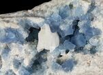 Blue, Cubic Fluorite Crystal Cluster - New Mexico #100991-1